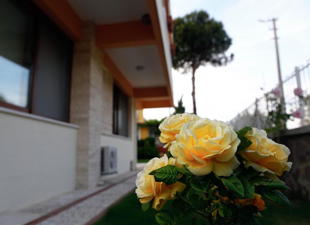 Villa Fokai Hotel Yenifoca Exterior photo